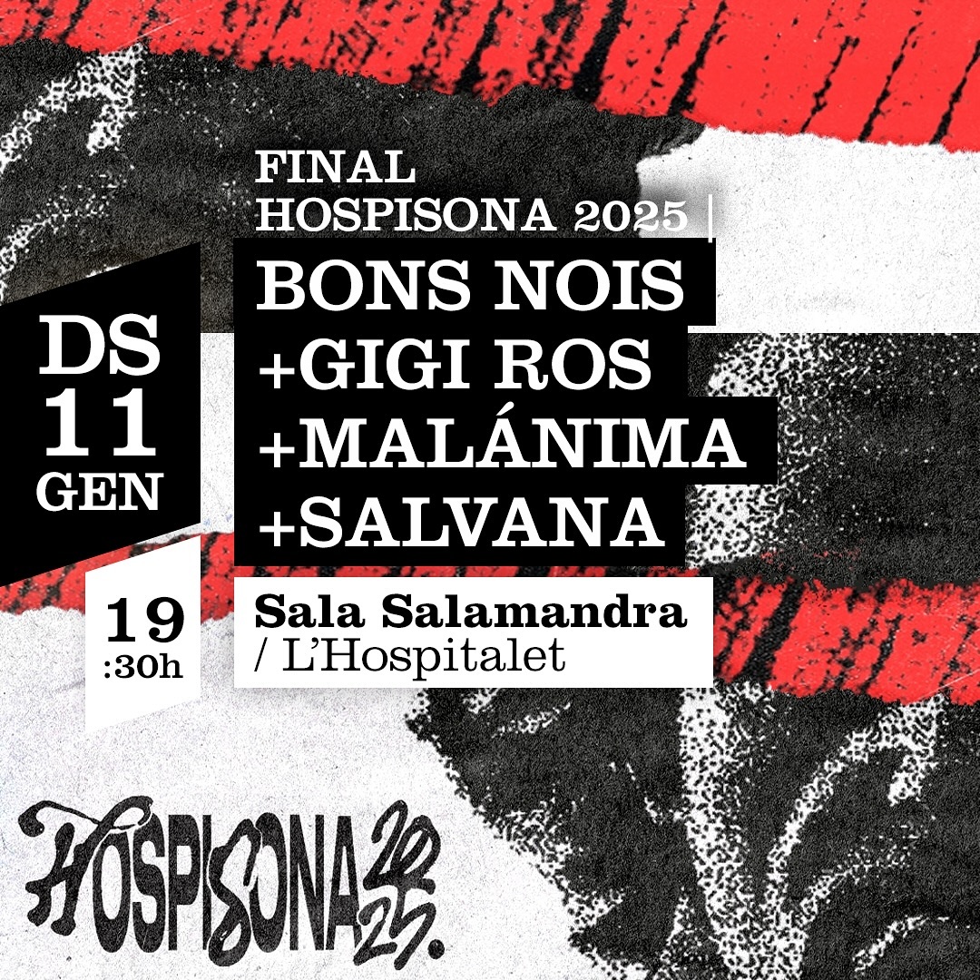 Final de l'HOSPISONA